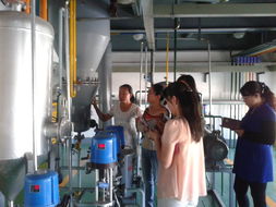 化學工程系煤化工教學工廠本學期教師培訓圓滿結束，深化產教融合，提升教育服務質量