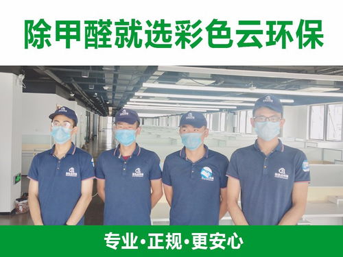 合肥除甲醛公司與教育咨詢服務 跨界融合，守護健康學習空間